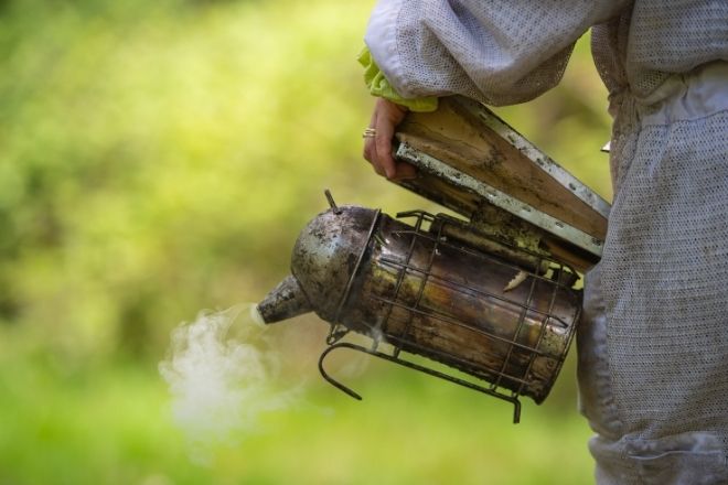 Most important equipment for beginner beekeepers