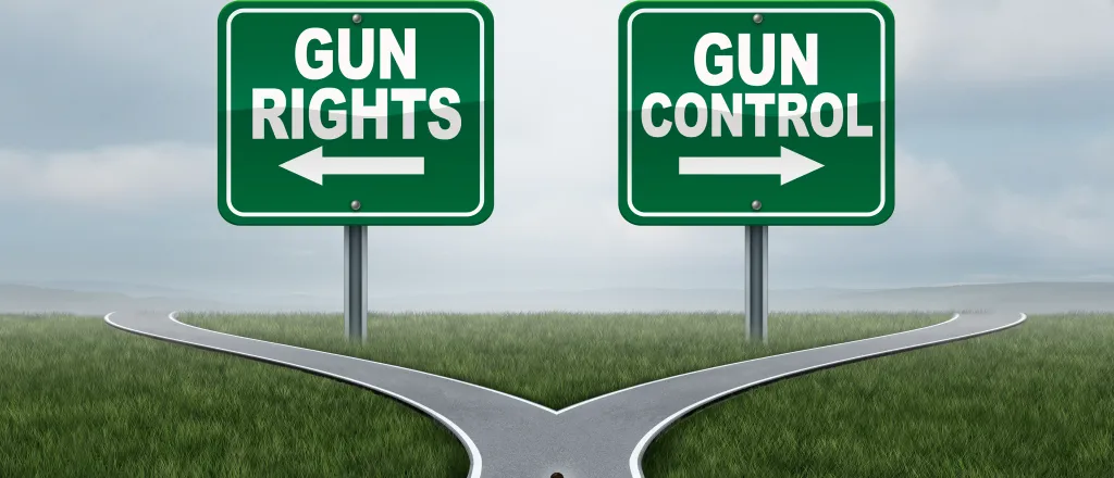 Illustration of a person on a road with diverging paths. Two signs are on the horizon. On the left is a sign with an arrow pointing left reading "gun rights." On the right is a sign with an arrow pointing right reading "gun control."