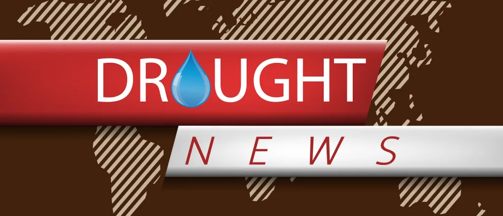 Words "Drought News" with the 'O' stylized as a water drop.